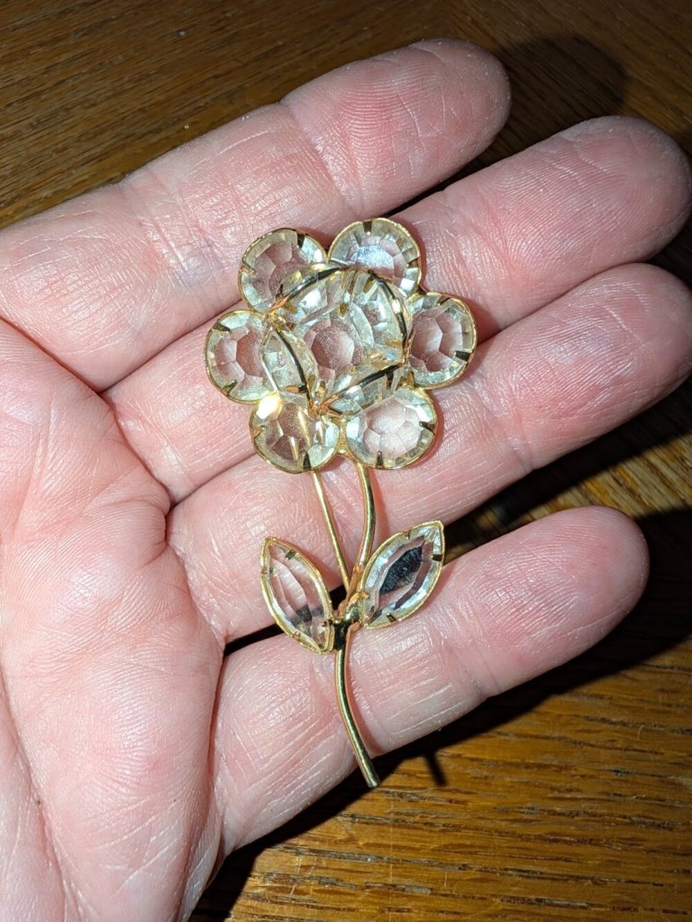 Ladies Brooch - Picture 1 of 5